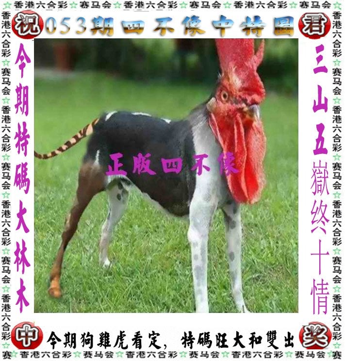 澳门彩资料大全书凤凰艺术的简单介绍